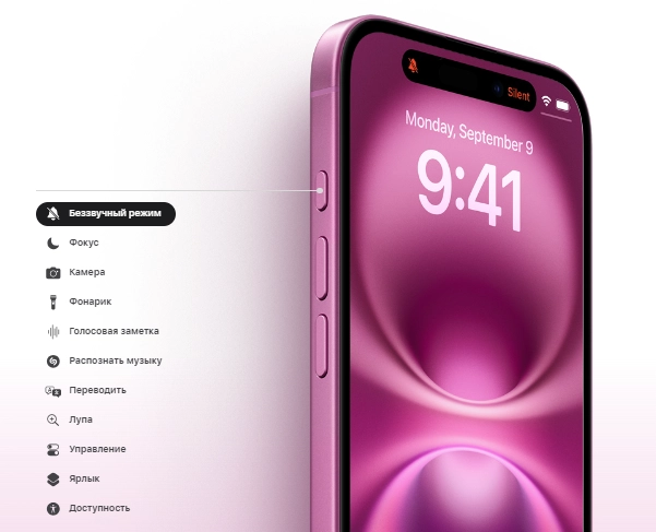 dfb df.webp dfb df.webp