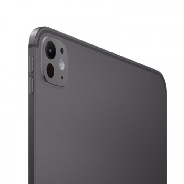 планшет ipad pro 11 m5 (2025) wi-hi 256 gb space black 