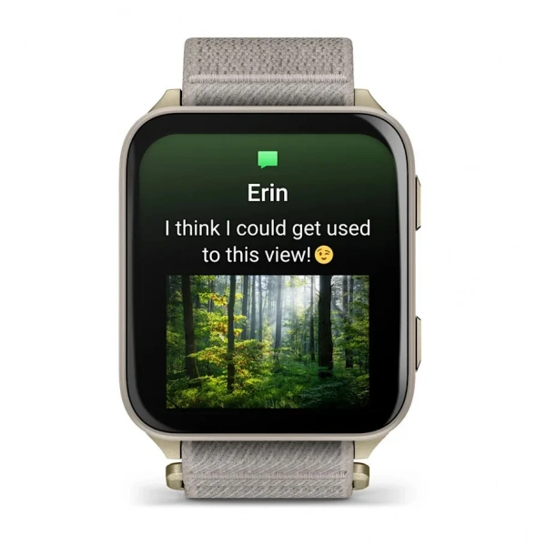 умные часы watch garmin venu x1 soft gold titanium with french gray nylon